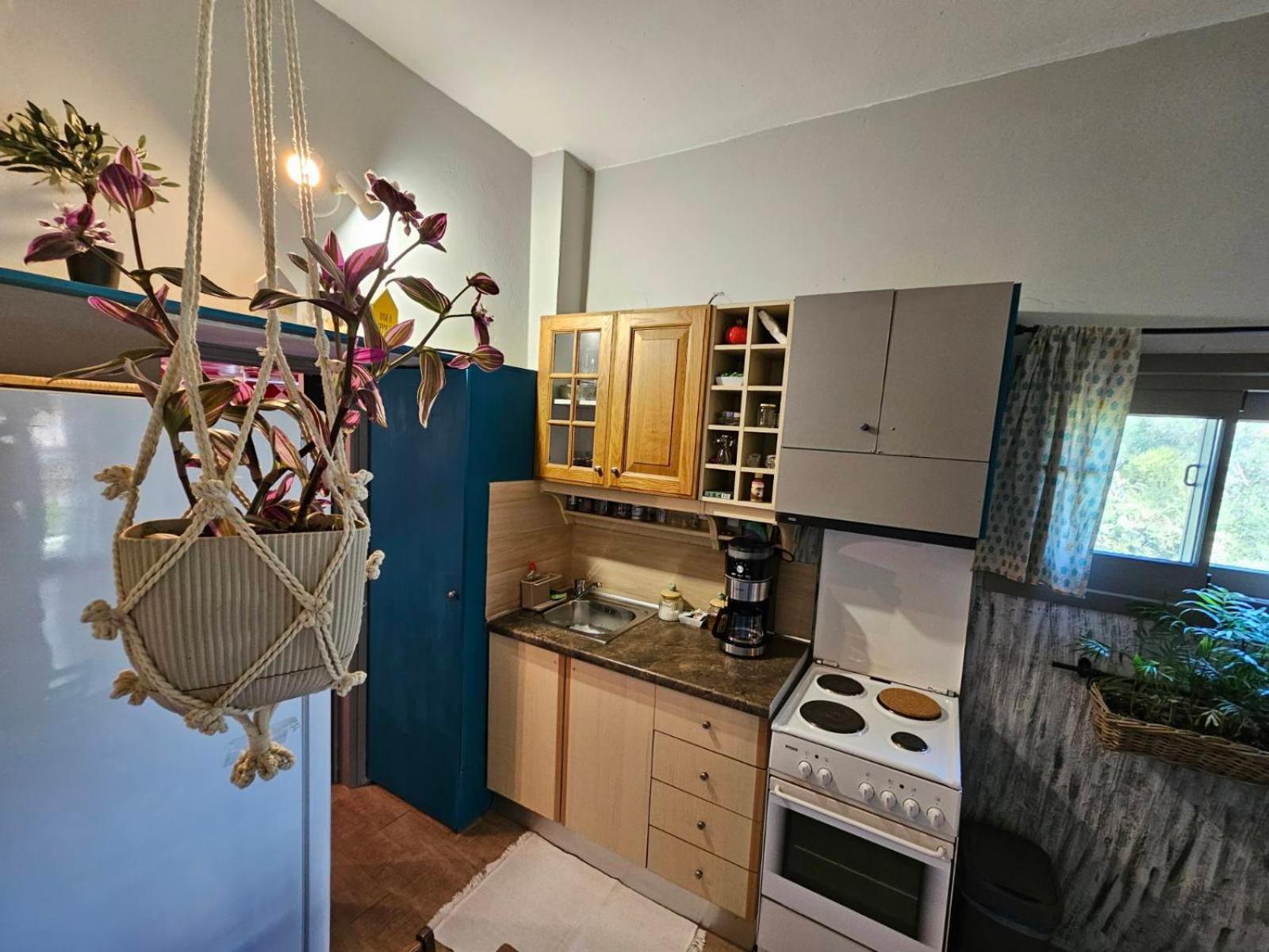 Apartment μέντα 1